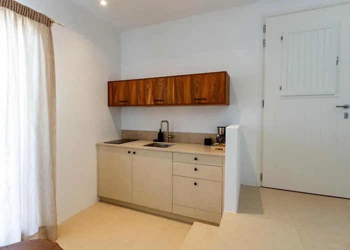 Lejlighed Kyma & Anemos Naousa