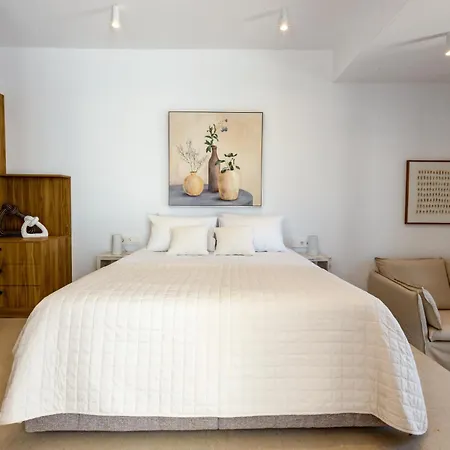 Apartment Kyma & Anemos Naousa (Paros)